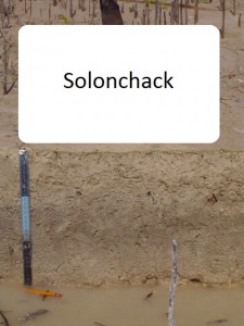 Solonchack